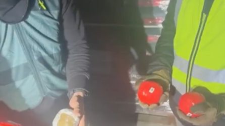 Finti pomodori sequestrati dalla polizia: all'interno c'era hashish
