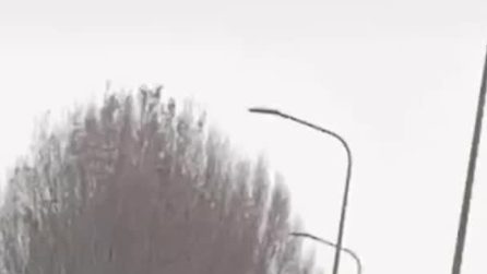 In migliaia all'alba fuori da Fondazione Prada per poter vedere gli Enhypen