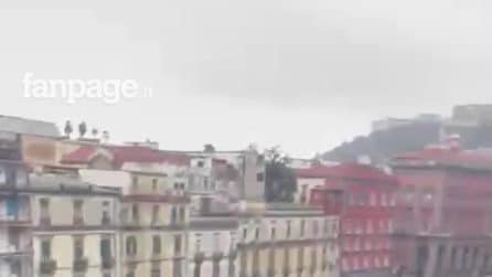 Napoli, crolla un albero sulle auto in sosta in piazza Cavour