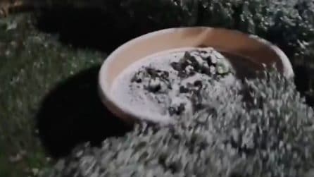 Milano, le temperature scendono sotto lo zero e torna la neve in città