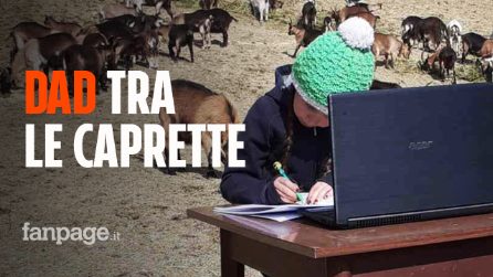 Fiammetta a 10 anni in Dad con le caprette in montagna: "Non può restare a casa da sola"
