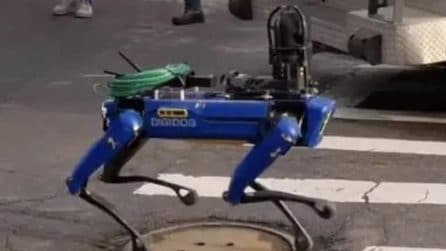 Come in Black Mirror: a New York la polizia sta usando cani robot per le strade