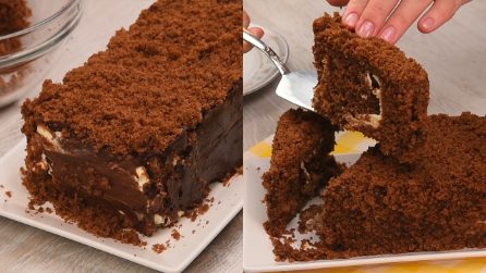 Torta cremosa al cioccolato: l’idea dolce e originale!