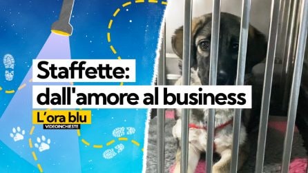 Staffette: dall'amore al business delle adozioni.