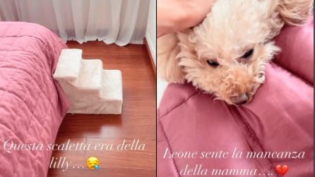 Il dolore in casa Hunziker dopo la morte della cagnolina Lilly: "Ci vorrà del tempo per tutti noi"