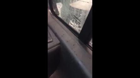 A Rozzano la grandine distrugge i vetri delle auto parcheggiate fuori dal centro commerciale