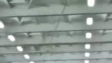 Incendi in Grecia, turisti e residenti Evia evacuati: l'inferno visto dal traghetto