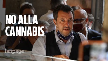 Milano, Salvini contro il referendum sulla cannabis: "Mai fatta una canna, meglio un gol di Ibra"