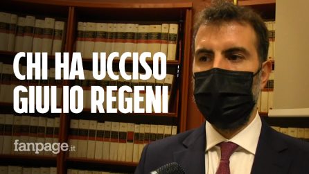 Commissione Regeni, Palazzotto: "Giulio ucciso dai servizi egiziani, depistaggio è ammissione di colpa"