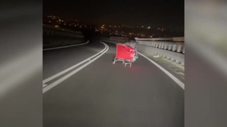 Quarto: rubano un carrello e lo trascinano in scooter per le strade sfiorando le automobili