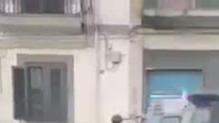 Ruba la palina della fermata dell'autobus e la carica sull'auto, il furto ripreso in video