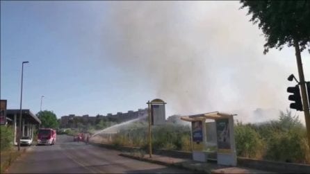 Fiamme alla Bufalotta, Protezione Civile e vigili del Fuoco spengono l'incendio