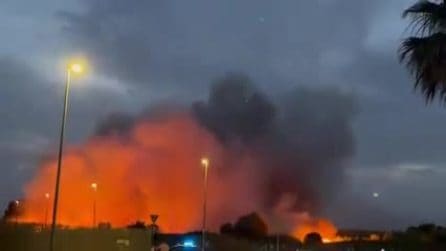 Maxi incendio a Ostia nella zona dell'Idroscalo