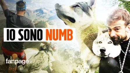 Nessuno voleva adottarlo perché aveva una zampa storta: oggi Numb è il cane campione di scalate