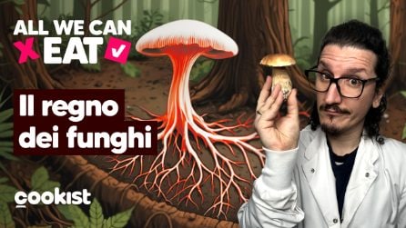Cosa sono i funghi, cosa c’è dentro e perché ci piacciono così tanto?