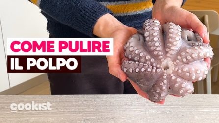 Come pulire e cuocere il polpo