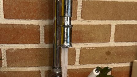 Ecco come far tornare CROCCANTE il PANE RAFFERMO come appena comprato!