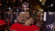 Gran Galà del Tartufo, a Bari celebrato il Re della cucina