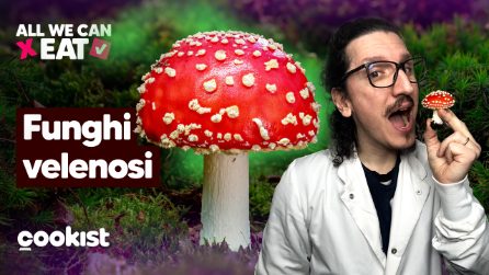 Cosa succede se mangi un fungo velenoso? Quanto sono tossici alcuni funghi e come riconoscerli