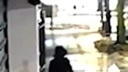 Abbandona una neonata in una borsa di tela nel Bronx: un sospettato ripreso dalle telecamere