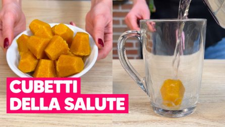 Cubetti DELLA SALUTE: la ricetta per avere la TISANA pronta in 10 SECONDI ogni volta che vuoi!