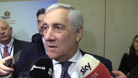 Elezioni Germania, Salvini esalta AfD ma Tajani risponde: "Posizioni inconciliabili con le mie"