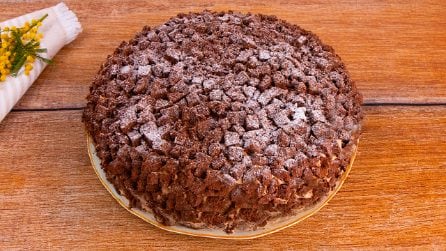 CHOCOLATE MIMOSA CAKE: the delicious variation of the classic dessert!