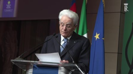Mattarella condanna i dazi di Trump: "Protezionismi immotivati, danneggiano le nostre eccellenze"
