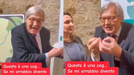 Sgarbi invitato all'inaugurazione di una mostra in una scuola calabrese: "Ma cos'è questa schifezza"