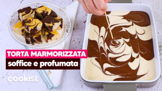 Torta Marmorizzata Al Kefir La Ricetta Del Dolce Morbidissimo E Torta Marmorizzata Al Kefir La Ricetta Del Dolce Morbidissimo E