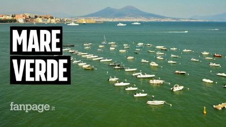 Mare verde a Napoli, gli esperti: "Sintomo di cambiamento climatico"