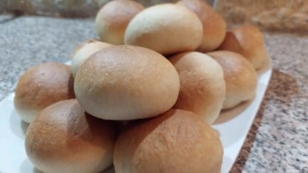 Panini all'olio fatti in casa: la ricetta per averli soffici e gustosi