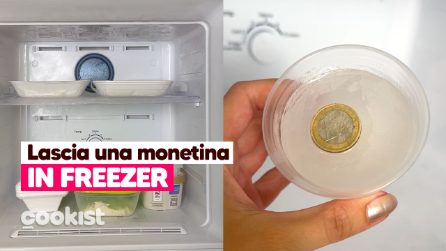 Mettere una monetina in freezer: il trucchetto che può salvarti la vita!