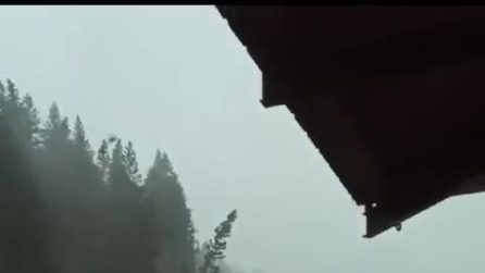 Alberi caduti a Campolongo di Cadore a causa del maltempo