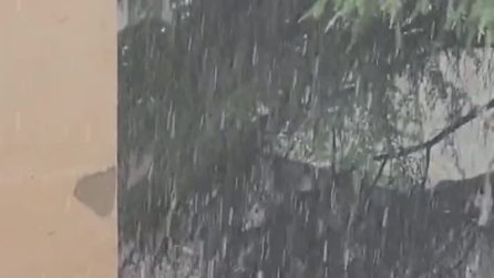 Maltempo Bologna, forte temporale con raffiche di vento e grandine