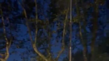 Maltempo a Saronno: tromba d'aria sradica diversi alberi