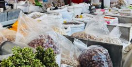 Olivia Wilde in Puglia, mangia taralli e balla in piazza: i video delle vacanze italiane