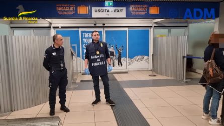 Fermato traffico illegale di cuccioli dalla Russia: l'operazione della Guardia di Finanza a Verona