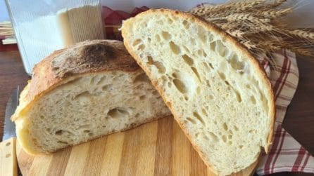 Pane fatto in casa: il metodo veloce per averlo gustoso e ad alta idratazione