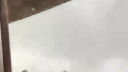 Il video del tornando a Rho che ha sradicato alberi e fatto crollare impalcature