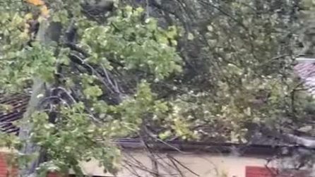 Maltempo a Milano, alberi cadono sul tetto di una scuola materna