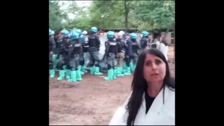 Peste suina a Pavia, scontri tra polizia e animalisti contro l'abbattimento dei maiali sani