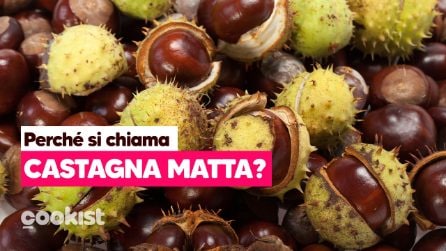 La castagna matta tra realtà e leggenda: ecco come può sconfiggere il raffreddore