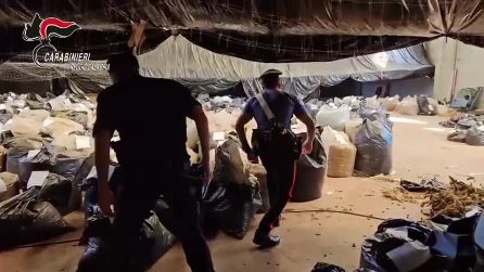 Tre milioni di euro di cannabis: maxi sequestro nel Reggino