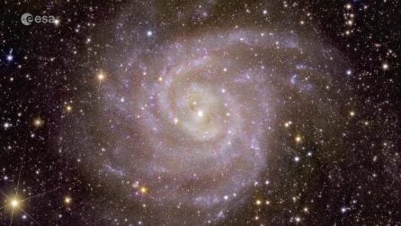 Euclid, le prime immagini del telescopio spaziale che cerca la materia oscura