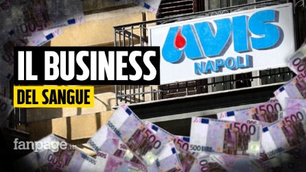 Affitti e progetti con i fondi di Avis: così i dirigenti sfruttano i soldi delle donazioni
