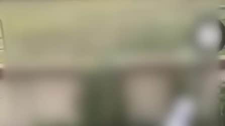 Prendono a sassate una nutria e pubblicano il video online: gli animalisti cercano i responsabili