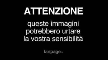 Ambientalisti bloccano la strada, uomo scende dall'auto con una pistola e ne uccide due: il video