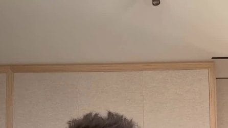 Fedez contro Giorgia Meloni, in difesa di Ferragni: "Le sue priorità siamo io e mia moglie"