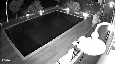 Ladro prova a entrare in casa, ma si spaventa per i cani e si tuffa in piscina per scappare